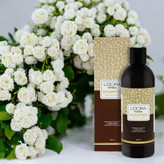 شامپو گیاهی مناسب موهای چرب لدورا هربال